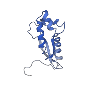 0101_6gzq_M1_v1-0
T. thermophilus hibernating 70S ribosome