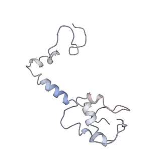 0101_6gzq_M2_v1-0
T. thermophilus hibernating 70S ribosome