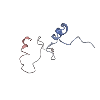 0101_6gzq_N2_v1-0
T. thermophilus hibernating 70S ribosome