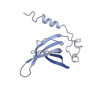 0101_6gzq_O1_v1-0
T. thermophilus hibernating 70S ribosome