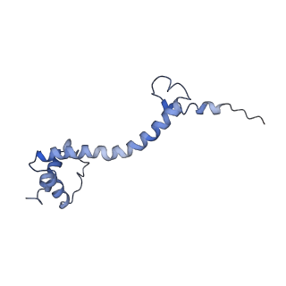 0101_6gzq_P1_v1-0
T. thermophilus hibernating 70S ribosome