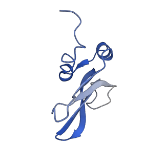 0101_6gzq_P2_v1-0
T. thermophilus hibernating 70S ribosome