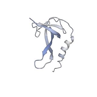 0101_6gzq_Q2_v1-0
T. thermophilus hibernating 70S ribosome