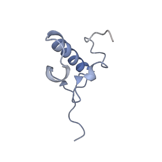 0101_6gzq_R2_v1-0
T. thermophilus hibernating 70S ribosome
