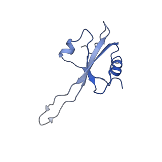 0101_6gzq_S1_v1-0
T. thermophilus hibernating 70S ribosome