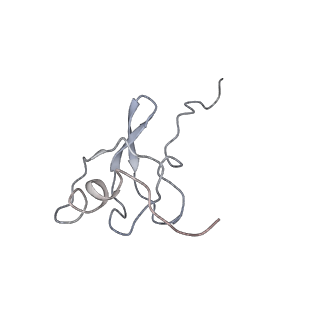 0101_6gzq_S2_v1-0
T. thermophilus hibernating 70S ribosome