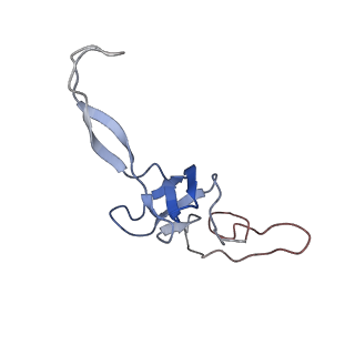0101_6gzq_T1_v1-0
T. thermophilus hibernating 70S ribosome