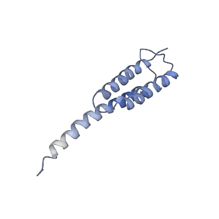 0101_6gzq_T2_v1-0
T. thermophilus hibernating 70S ribosome