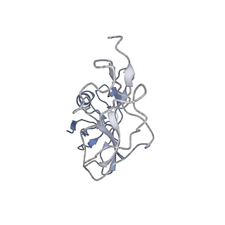 0101_6gzq_U1_v1-0
T. thermophilus hibernating 70S ribosome