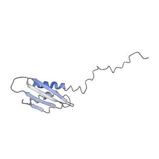 0101_6gzq_V2_v1-0
T. thermophilus hibernating 70S ribosome