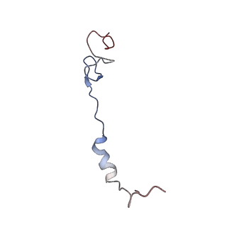0101_6gzq_a1_v1-0
T. thermophilus hibernating 70S ribosome