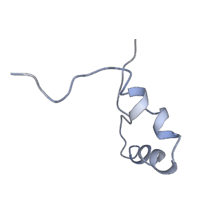 0101_6gzq_c1_v1-0
T. thermophilus hibernating 70S ribosome