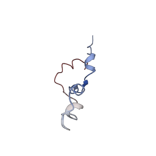 0101_6gzq_d1_v1-0
T. thermophilus hibernating 70S ribosome