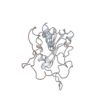 0104_6gzx_B3_v1-0
T. thermophilus hibernating 100S ribosome (ice)
