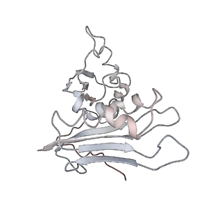 0104_6gzx_C3_v1-0
T. thermophilus hibernating 100S ribosome (ice)