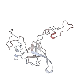 0104_6gzx_D2_v1-0
T. thermophilus hibernating 100S ribosome (ice)