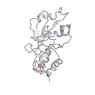 0104_6gzx_D3_v1-0
T. thermophilus hibernating 100S ribosome (ice)