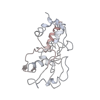 0104_6gzx_D4_v1-0
T. thermophilus hibernating 100S ribosome (ice)