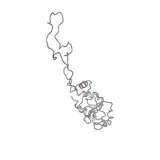 0104_6gzx_E1_v1-0
T. thermophilus hibernating 100S ribosome (ice)