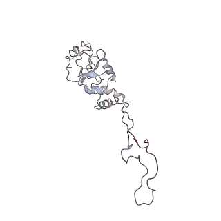 0104_6gzx_E2_v1-0
T. thermophilus hibernating 100S ribosome (ice)