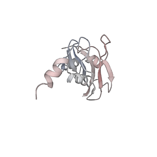 0104_6gzx_E3_v1-0
T. thermophilus hibernating 100S ribosome (ice)