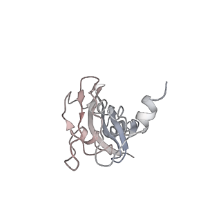 0104_6gzx_E4_v1-0
T. thermophilus hibernating 100S ribosome (ice)