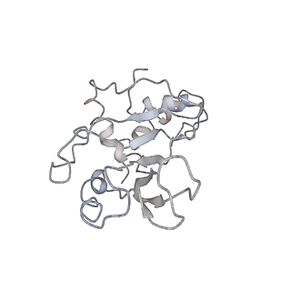 0104_6gzx_F1_v1-0
T. thermophilus hibernating 100S ribosome (ice)