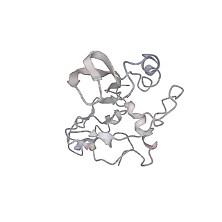 0104_6gzx_F2_v1-0
T. thermophilus hibernating 100S ribosome (ice)