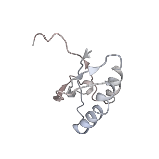 0104_6gzx_F3_v1-0
T. thermophilus hibernating 100S ribosome (ice)