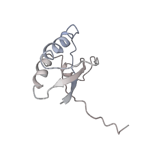 0104_6gzx_F4_v1-0
T. thermophilus hibernating 100S ribosome (ice)