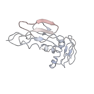 0104_6gzx_G1_v1-0
T. thermophilus hibernating 100S ribosome (ice)