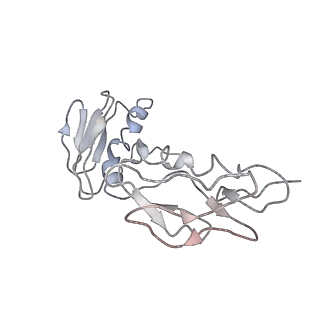 0104_6gzx_G2_v1-0
T. thermophilus hibernating 100S ribosome (ice)