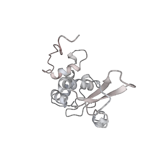 0104_6gzx_G3_v1-0
T. thermophilus hibernating 100S ribosome (ice)