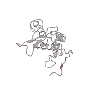 0104_6gzx_G4_v1-0
T. thermophilus hibernating 100S ribosome (ice)