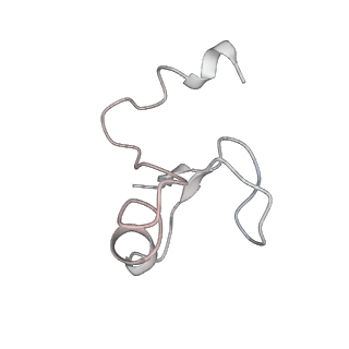 0104_6gzx_H2_v1-0
T. thermophilus hibernating 100S ribosome (ice)