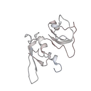 0104_6gzx_H3_v1-0
T. thermophilus hibernating 100S ribosome (ice)