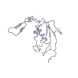 0104_6gzx_I1_v1-0
T. thermophilus hibernating 100S ribosome (ice)