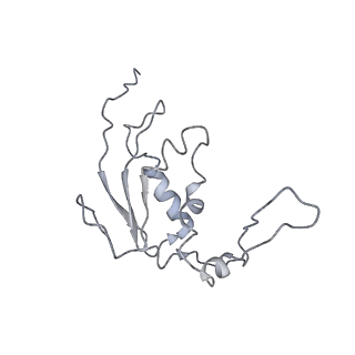0104_6gzx_I2_v1-0
T. thermophilus hibernating 100S ribosome (ice)