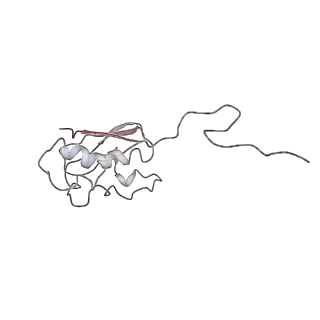 0104_6gzx_I3_v1-0
T. thermophilus hibernating 100S ribosome (ice)