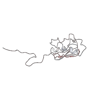 0104_6gzx_I4_v1-0
T. thermophilus hibernating 100S ribosome (ice)
