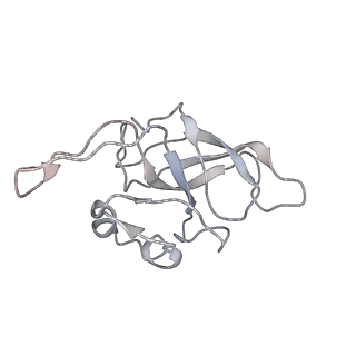 0104_6gzx_J2_v1-0
T. thermophilus hibernating 100S ribosome (ice)