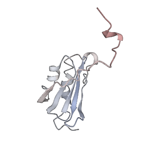 0104_6gzx_K3_v1-0
T. thermophilus hibernating 100S ribosome (ice)