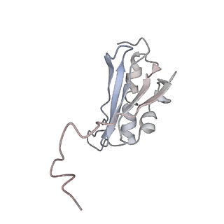 0104_6gzx_K4_v1-0
T. thermophilus hibernating 100S ribosome (ice)