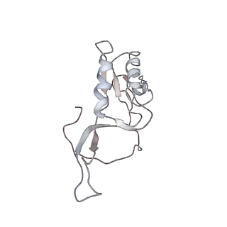 0104_6gzx_L1_v1-0
T. thermophilus hibernating 100S ribosome (ice)