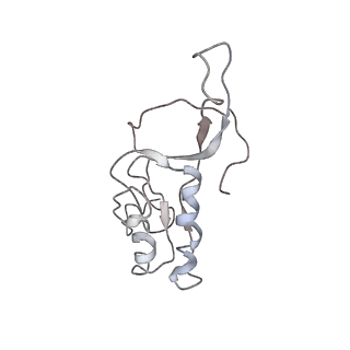 0104_6gzx_L2_v1-0
T. thermophilus hibernating 100S ribosome (ice)