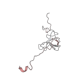 0104_6gzx_L3_v1-0
T. thermophilus hibernating 100S ribosome (ice)
