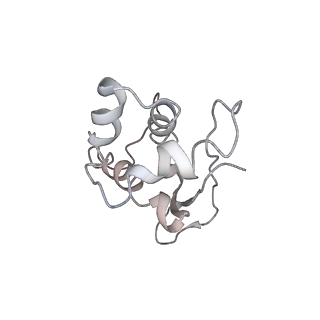 0104_6gzx_M1_v1-0
T. thermophilus hibernating 100S ribosome (ice)