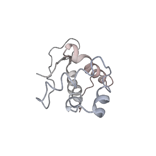 0104_6gzx_M2_v1-0
T. thermophilus hibernating 100S ribosome (ice)