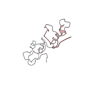 0104_6gzx_M3_v1-0
T. thermophilus hibernating 100S ribosome (ice)