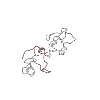 0104_6gzx_M4_v1-0
T. thermophilus hibernating 100S ribosome (ice)